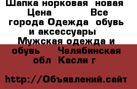 Шапка норковая, новая › Цена ­ 5 000 - Все города Одежда, обувь и аксессуары » Мужская одежда и обувь   . Челябинская обл.,Касли г.